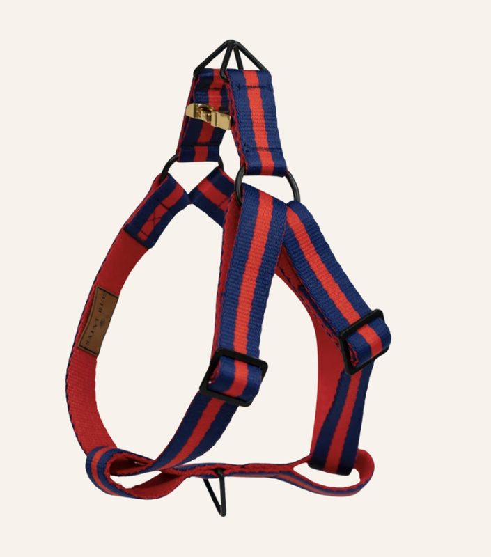 Classic Harness