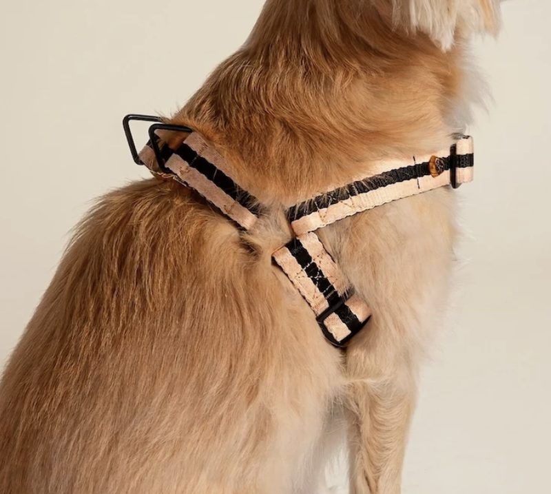 Deluxe Collar
