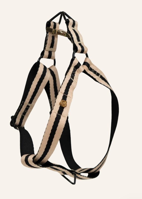 Padded Bow Collar