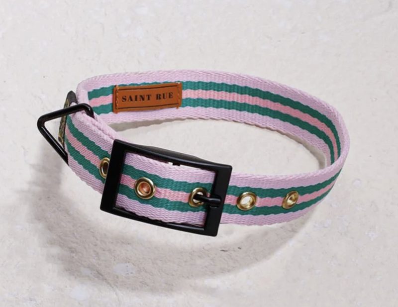 Striped Bow Collar