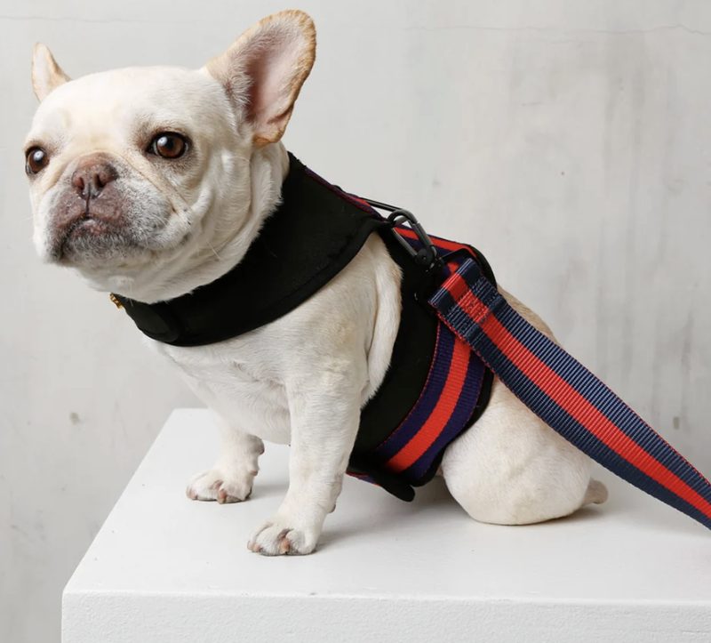 Signature Collar & Leash Set