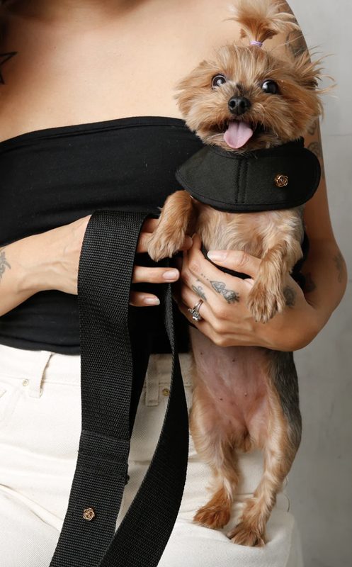 Padded Pet Bow