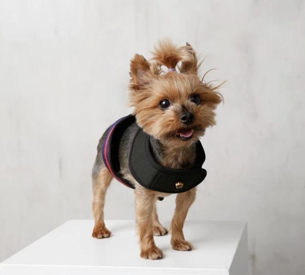 Reversible Harness