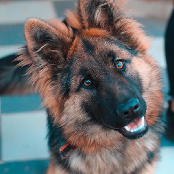 Zoe