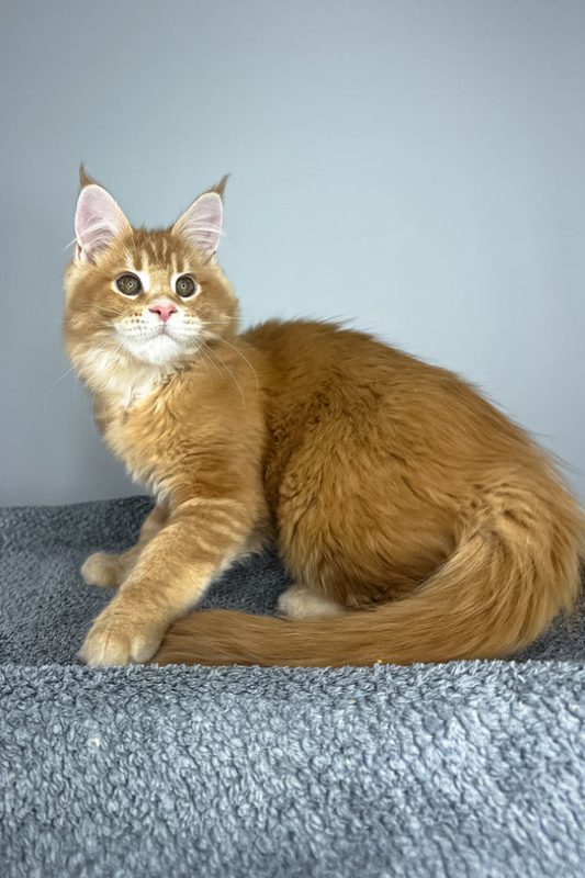 Winnie
