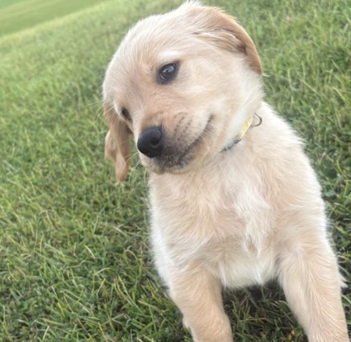 Duke